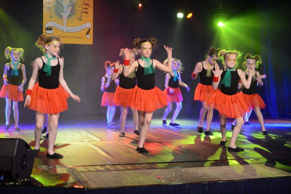 ../Images/Dansmarieke Festival 2016 232.jpg